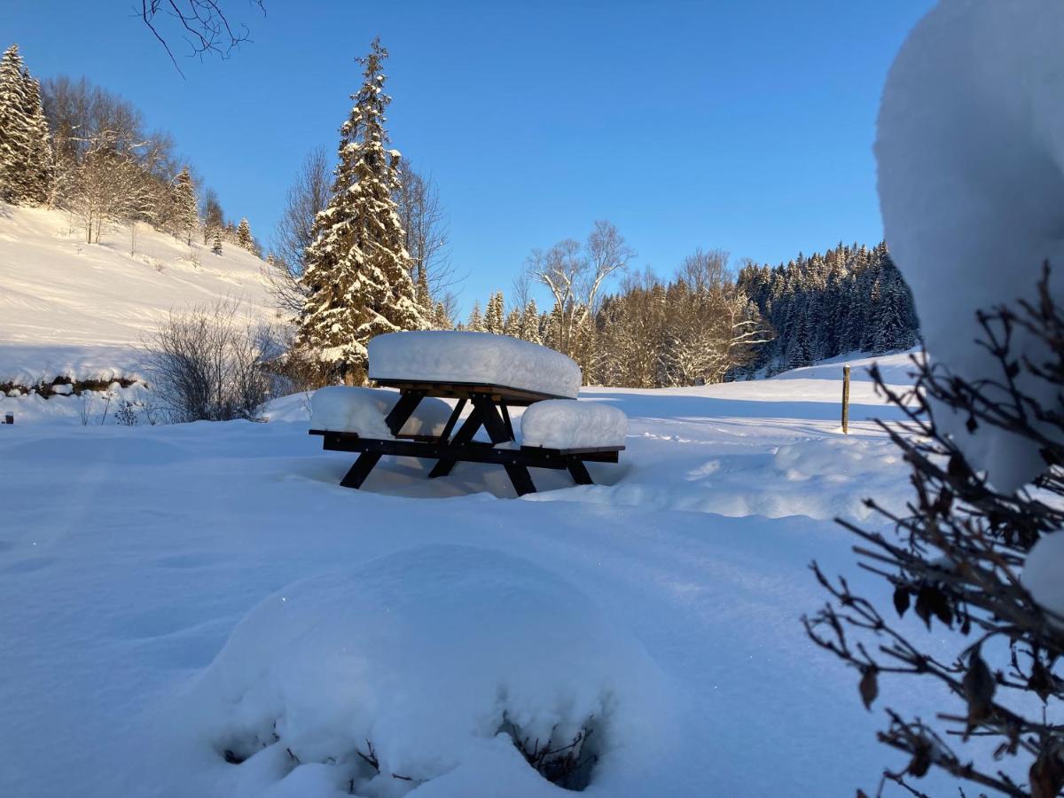 Luxury Chalet Katarinka, Belianske Tatry Osturna Exterior foto